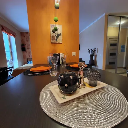 Solarisstudioapartments Near The Airport 아파트 리가