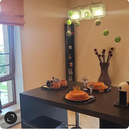 아파트 Solarisstudioapartments Near The Airport 리가