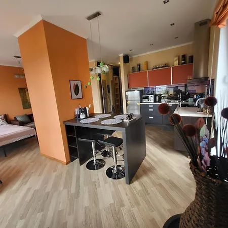 Solarisstudioapartments Near The Airport 里加